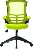 Nautilus Luna Designer Mesh Chair - Green