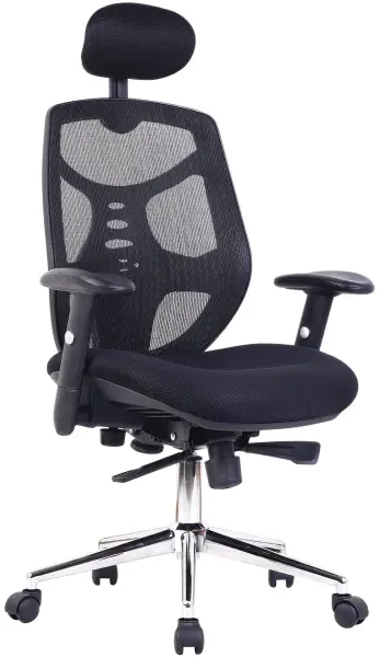 Nautilus Polaris Executive Chair - Black