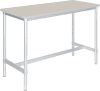 Gopak Enviro High Table - 1200 x 500mm - Ailsa