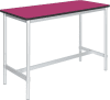Gopak Enviro High Table - 1200 x 500mm - Fuchsia